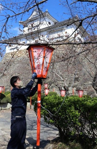 鶴山公園にぼんぼり設置 津山市観光協会、28日から夜桜：山陽新聞