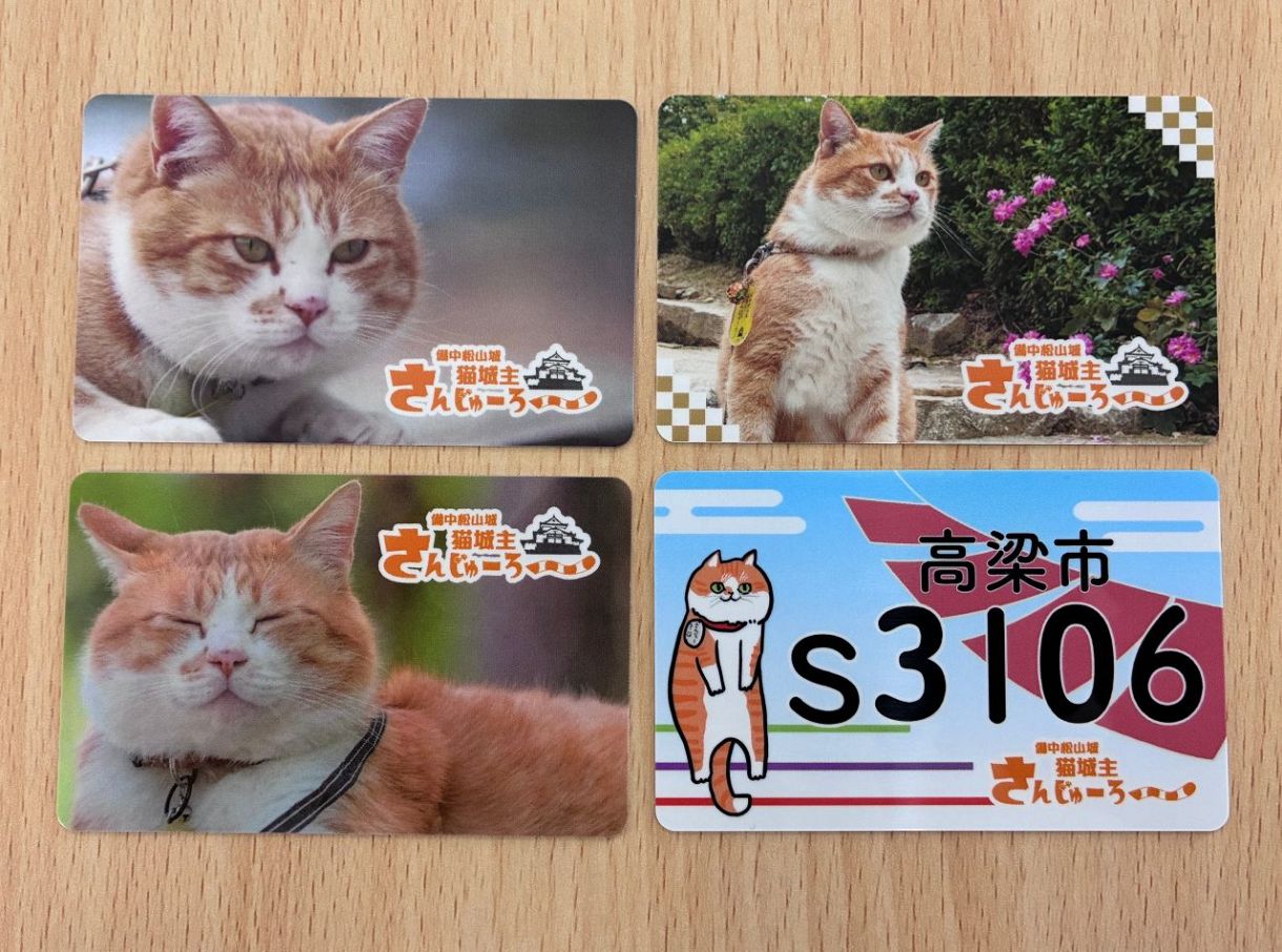 備中松山城の城下町巡って 高梁市観光協会が猫城主カード販売：山陽