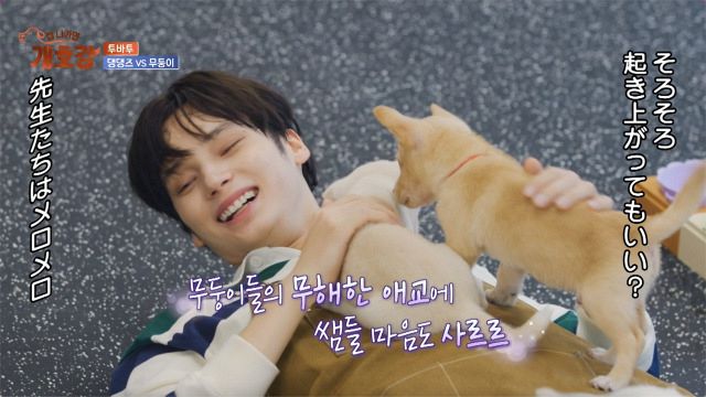 TOMORROW X TOGETHERのSOOBIN＆HUENINGKAI、IVEレイらと子犬6匹の