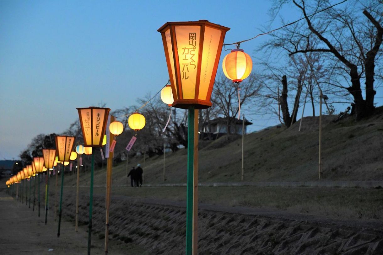 岡山さくらカーニバル ２７日開幕　花の宴 会場準備整う