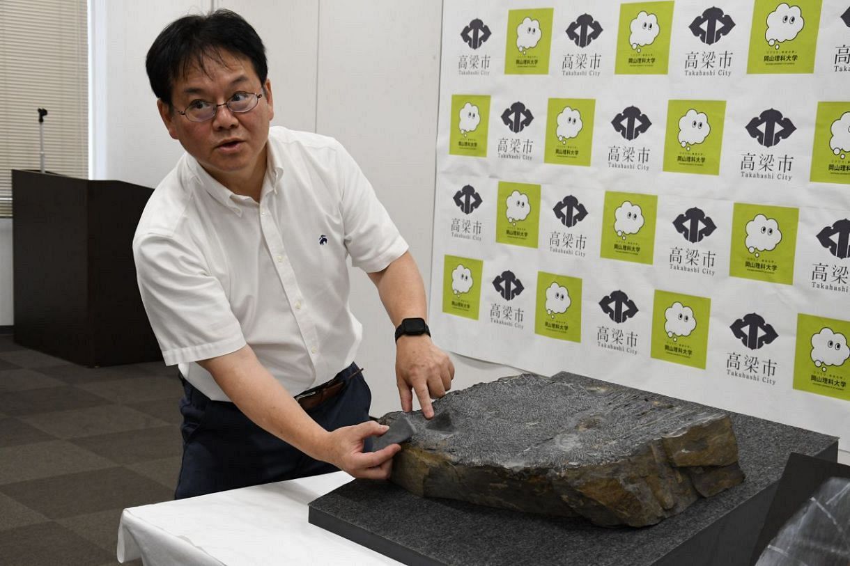 魚竜類化石 西日本で初の発見 岡山理科大などの研究チーム発表：山陽