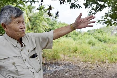 夢の海外移民、カリブ海の「楽園」は地獄だった 日本政府と法廷