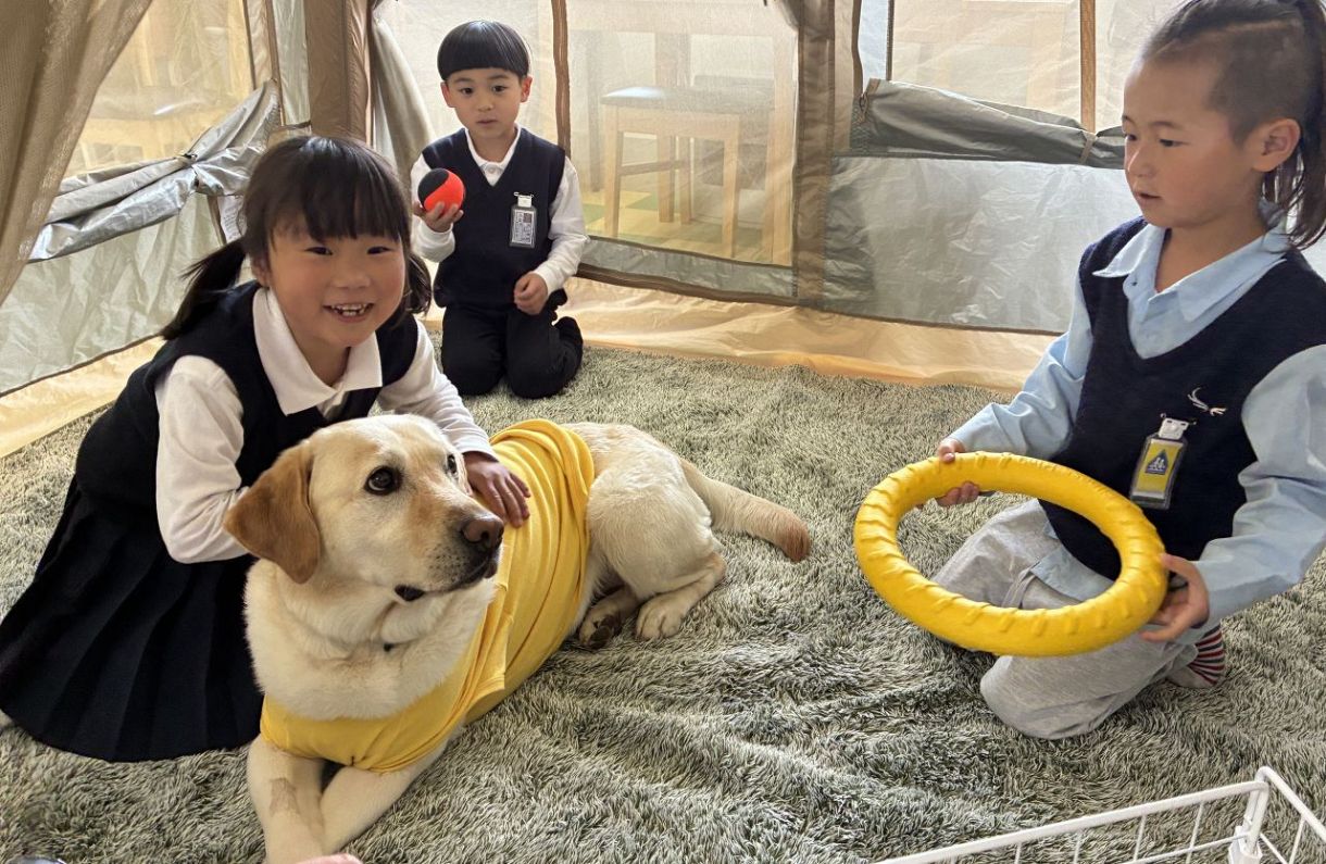 スクールドッグ広がる 岡山県内　２６年度は小中各１校も 居心地よい学校に