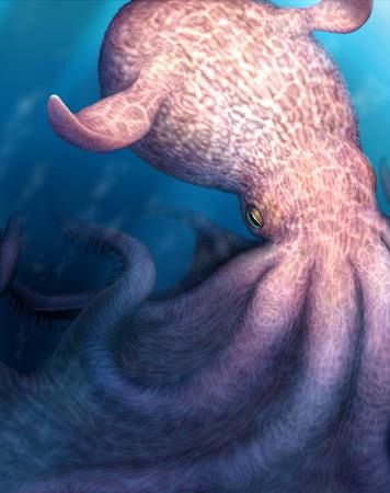 白亜紀のタコ、なんと最大19m 北大「どう猛。食物連鎖の頂点