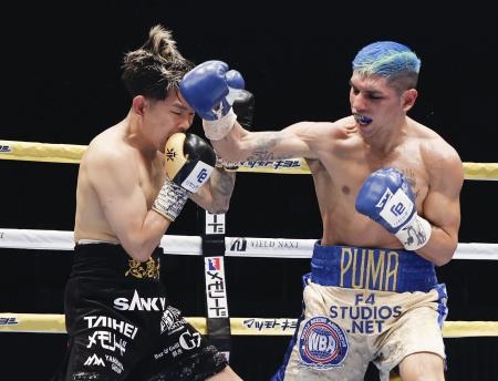 ボクシング井岡、判定で敗れる Sフライ級2団体統一戦：山陽