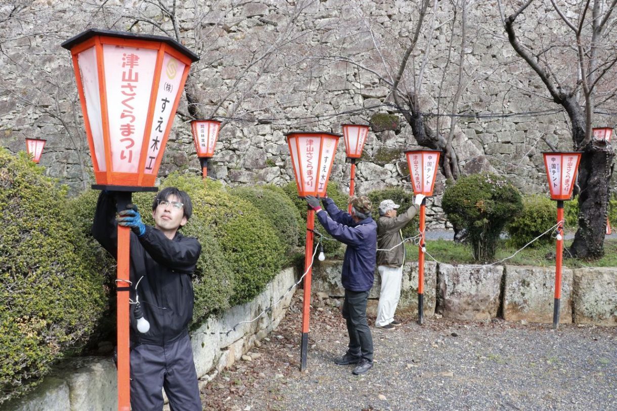 鶴山公園にぼんぼり194本設置 28日から「津山さくらまつり