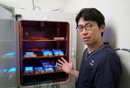 当てるだけ”で骨腫瘍治療へ 青色LEDで新手法、切除せず：山陽新聞