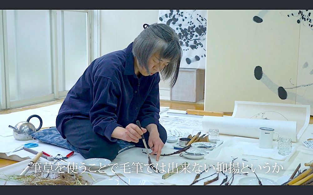 玉堂片影 シンポジウム浦上玉堂 文人画家 浦上玉堂の魅力に迫る 筆使い分けか 史編纂委が映像制作