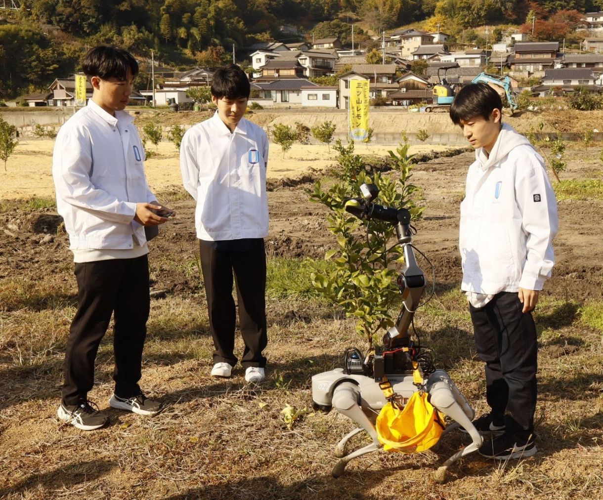 犬型ロボで特産品のレモン収穫 浅口・寄島の農家と岡山大が実験：山陽