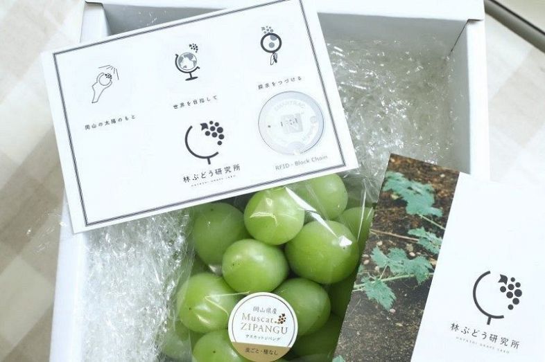 ブドウに電子タグ添付して販売 林ぶどう研、不正防止へ実証実験：山陽