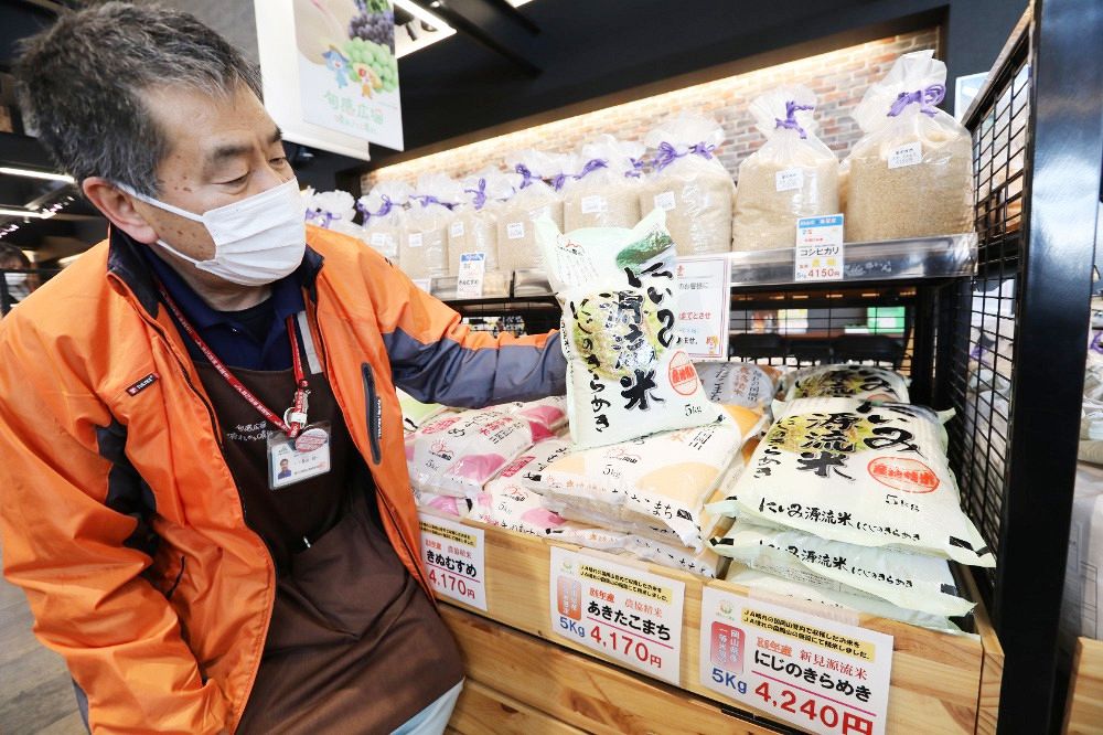 コメ「にじのきらめき」試験販売 作付け拡大受けJA晴れの国