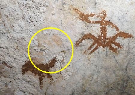 6万7000年前の最古壁画か インドネシアの洞窟：山陽新聞デジタル