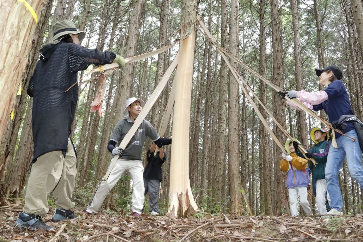 森の保全 「皮むき間伐」で関心を もりとき 久米南で体験会:山陽新聞デジタル|さんデジ