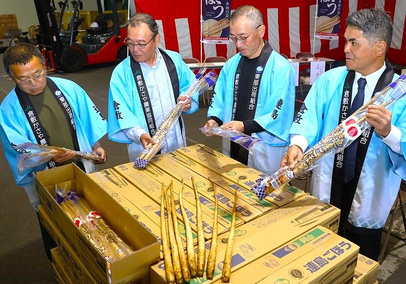 太く白い「連島ごぼう」出発式　関係者が安定供給を祈願