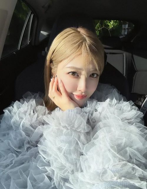 6340 Berryz工房 夏焼雅 生写真 50枚セット 生写真(ハロプロ)/アイドル/Berryz工房 Berryz工房/夏焼雅/上半身