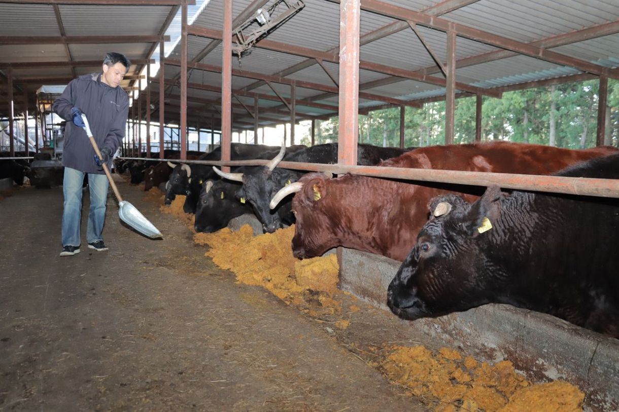 原発事故の被害と教訓伝え続ける　福島県浪江町「希望の牧場」 岡山のボランティアに記者同行
