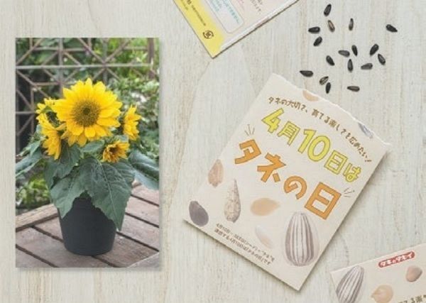 受け付け終了】タキイ種苗「タネの日」オリジナルパッケージ「ミニ