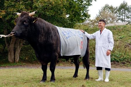 いわて牛」ブランド力アップに期待 血統の子、検定最高峰評価の種牛