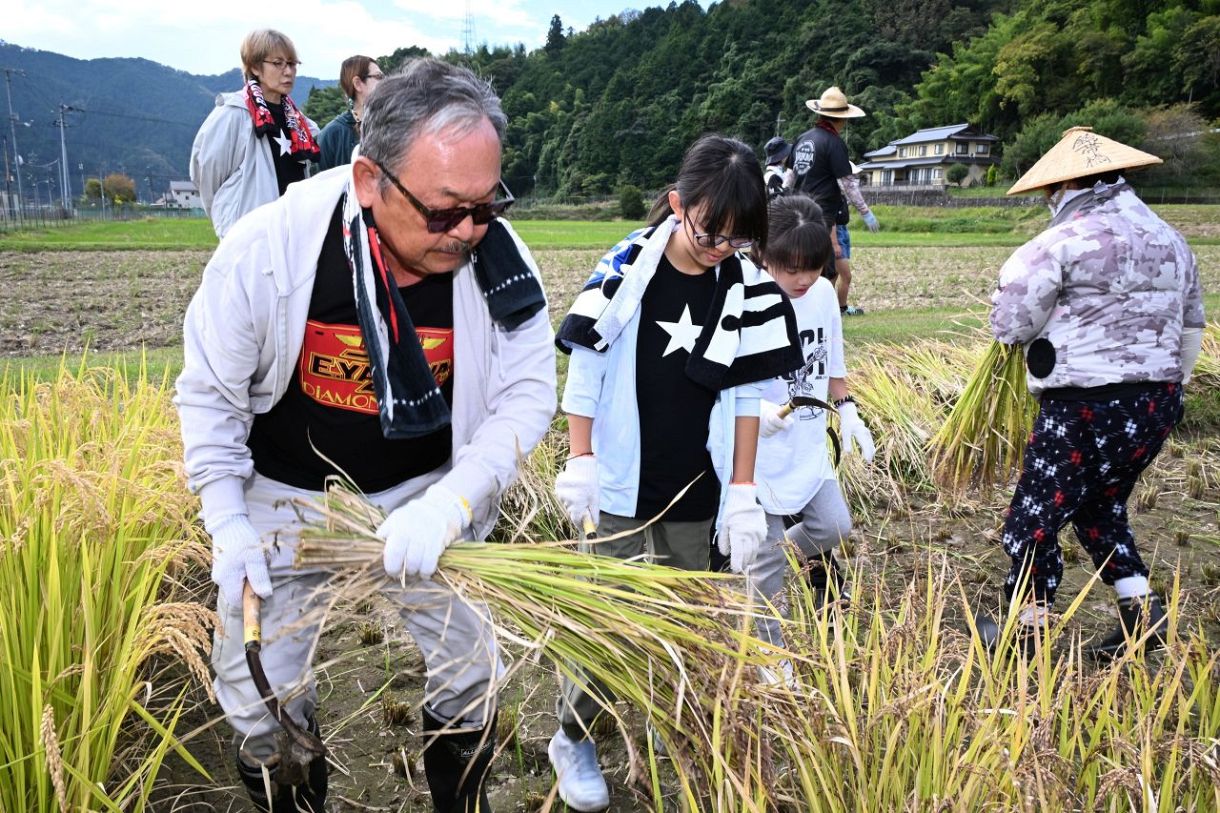 美作・永ちゃん田んぼ 住民やファンらが稲刈り：山陽新聞デジタル
