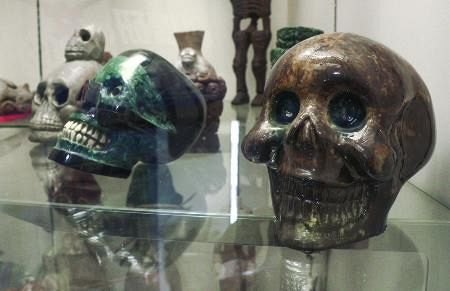 怖いだけじゃない「骸骨」の魅力発信 兵庫・尼崎のシャレコーベ