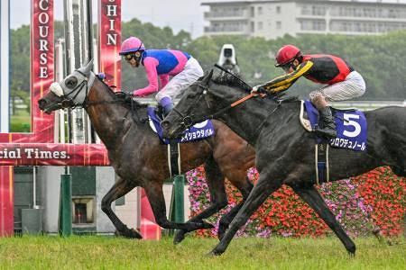 第67回 宝塚記念 単勝 複勝 馬券 メイショウタバル メイショウタバルが2連覇 競馬の第67回宝塚記念：山陽新聞デジタル