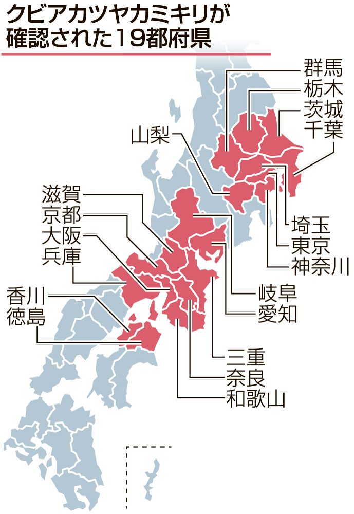 クビアカツヤカミキリ」分布急拡大 岡山県が警戒 香川で発見、徳島では