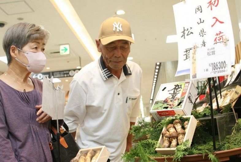 岡山県産マツタケ 今季初入荷 市内の百貨店、品質は上々:山陽新聞 岡山県産マツタケ 今季初入荷 市内の百貨店、品質は上々:山陽新聞