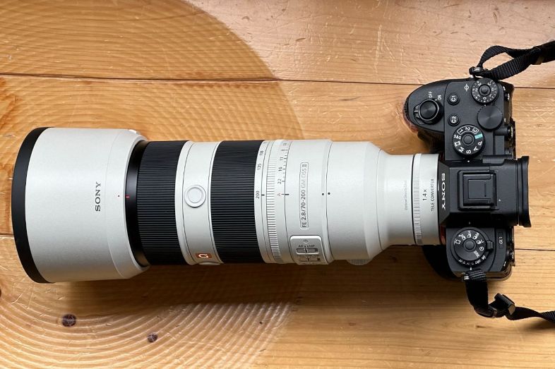 写り軽さ良し！ FE70-200mmⅡ型 テレコン装着で飛行機撮ってみると