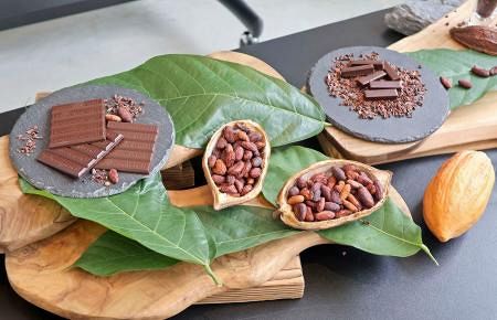 三重県産カカオでチョコ作り挑戦 価格高騰解消に期待、販売へ：山陽