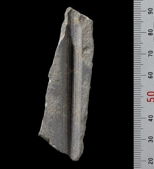 倉敷 酒津遺跡で「有溝砥石」発見 縄文草創期活動か 説明会で公開へ