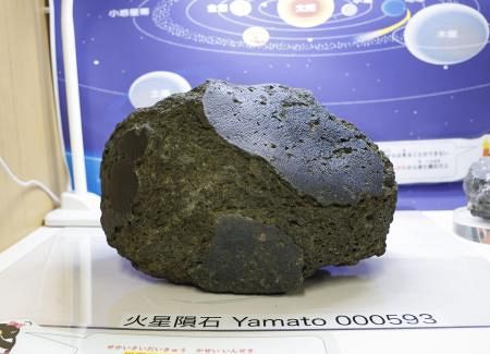 火星の石(隕石) 欠片　標本 南極観測隊」が発見! 火星の石に秘められた約1000万年前の物語丨