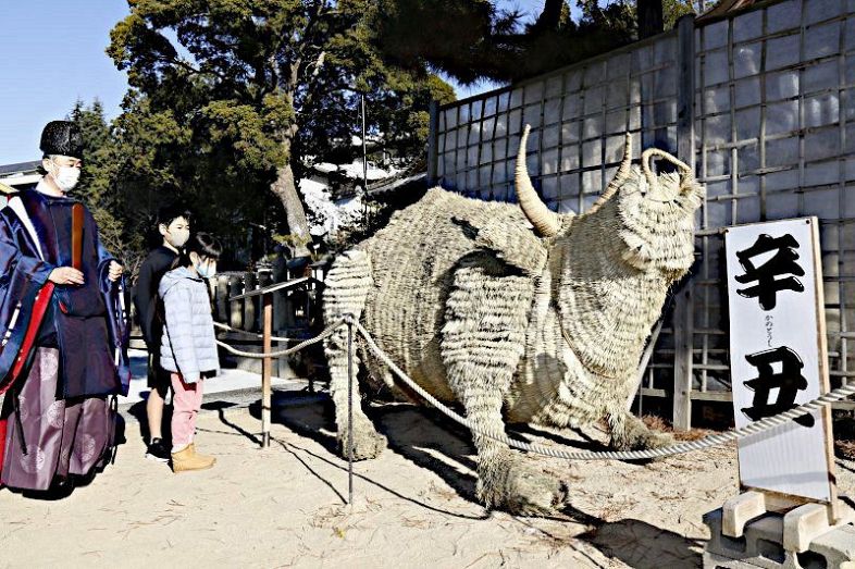 イグサ使った牛の大型飾り 早島・鶴崎神社、飛躍へ思い込め：山陽新聞