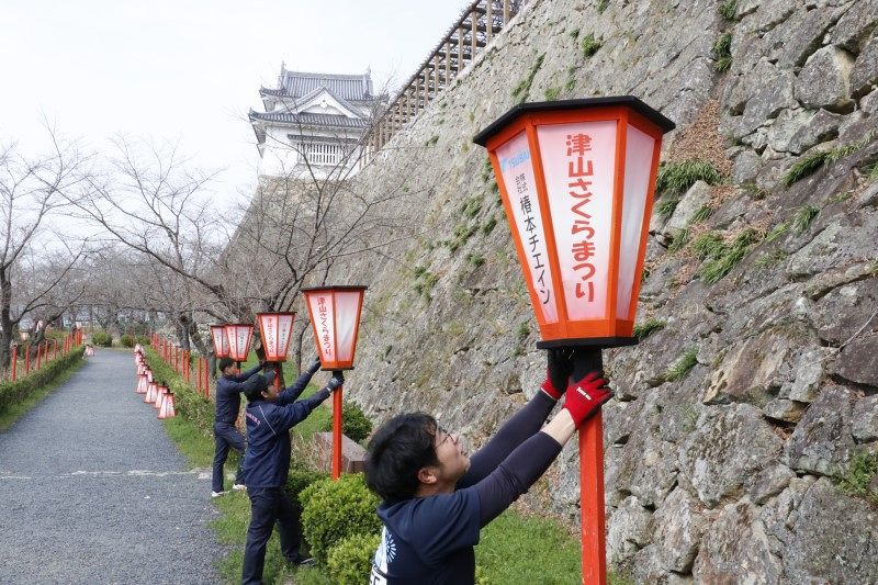 津山・鶴山公園 ぼんぼり取り付け さくらまつり主会場 189本設置