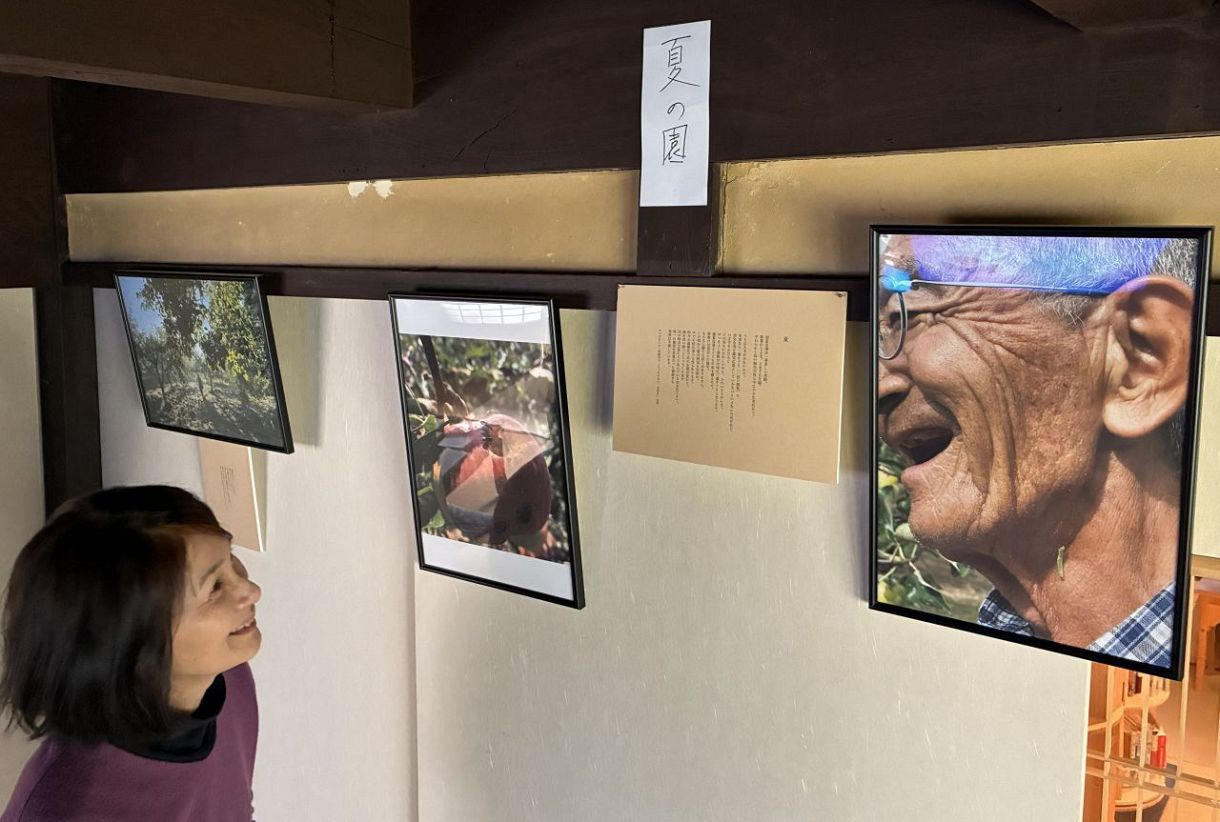 自然栽培の厳しさや家族愛 赤磐で「奇跡のリンゴ」写真展：山陽新聞