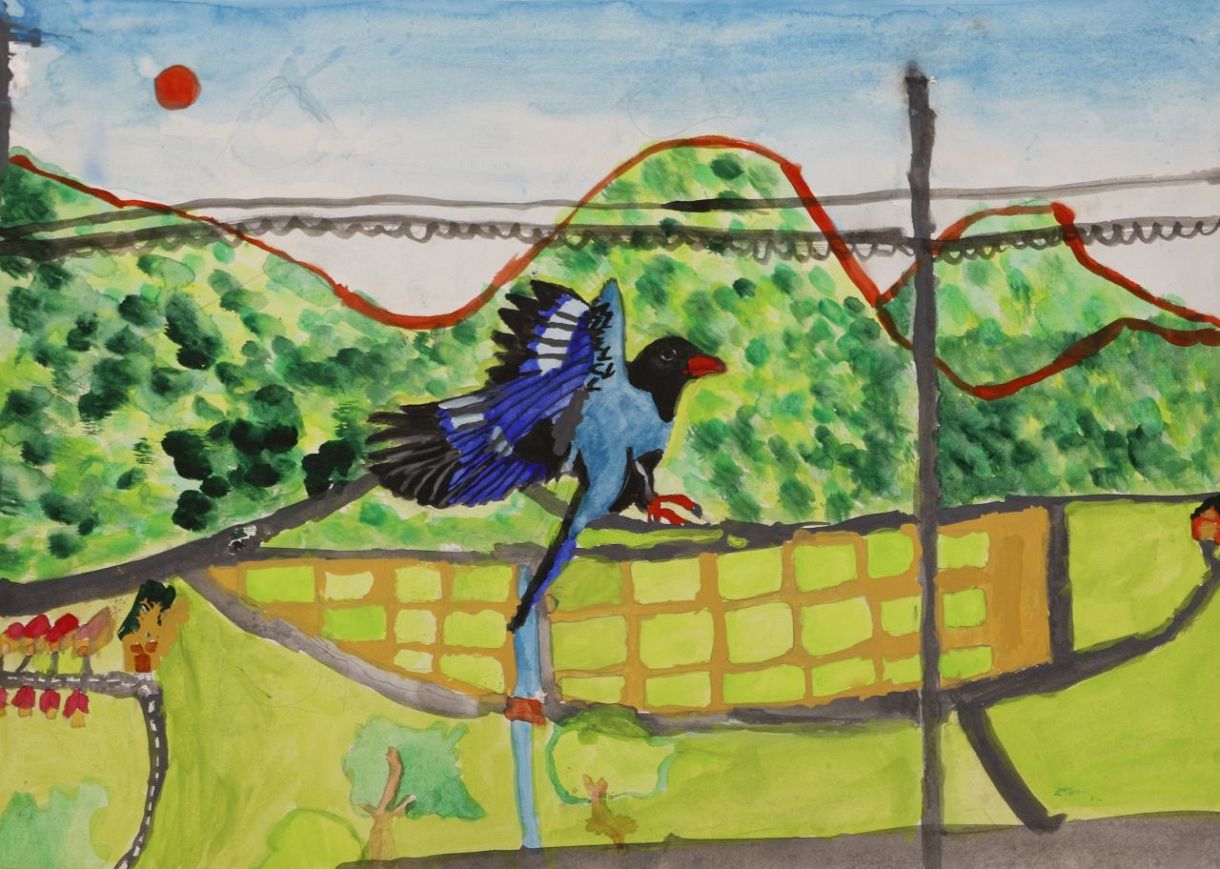 吉備中央 ブッポウソウ絵画コンテスト 榊原さん（加賀西小5年）最優秀 