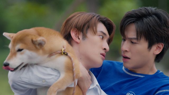 向井康二 ジュンジ DatingGame 向井康二“ジュンジ”＆マーチ“ヒル”超接近カット公開 『Dating Game