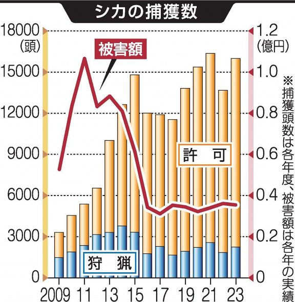 シカとイノシシ捕獲 高水準で推移 県23年度まとめ 許可制度が寄与