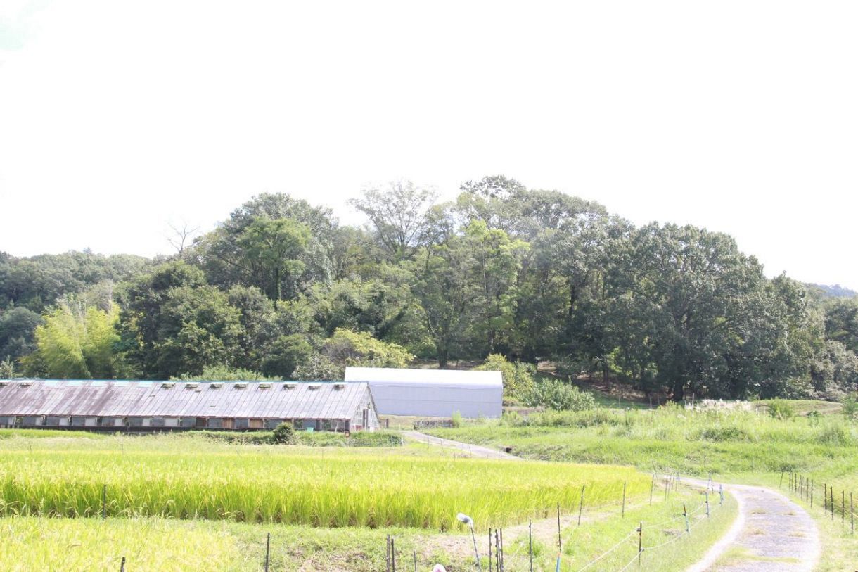 小盛山古墳の謎に迫る　岡山市教委、２６年度から３年かけ発掘