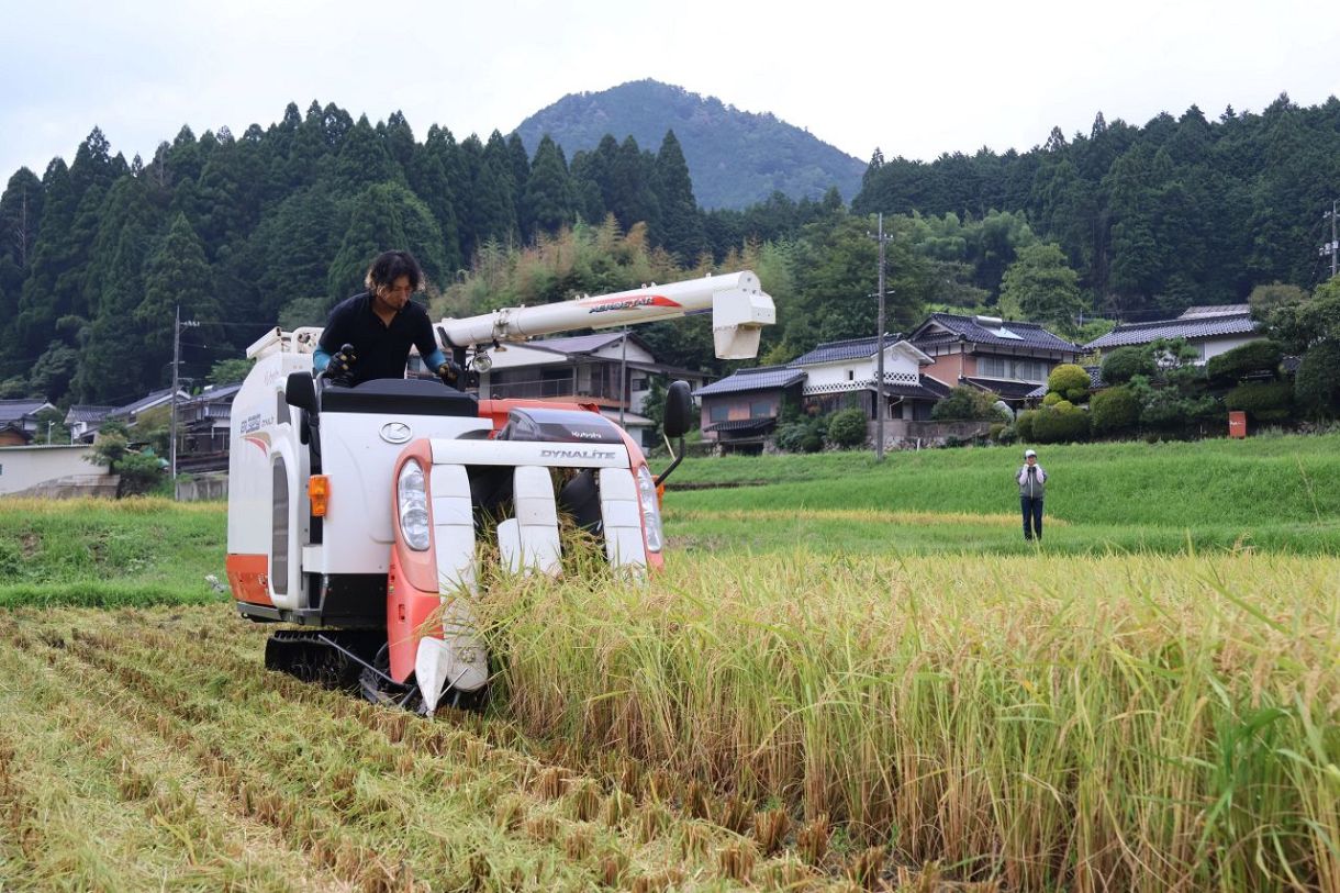概算金遅らせ一時金検討、ＪＡ岡山　需要見通せず全品種６０キロ１万２００円