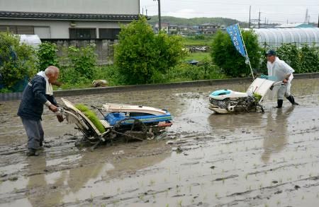 岩手の「奇跡の復興米」田植え 大阪、震災支援で14年から縁：山陽