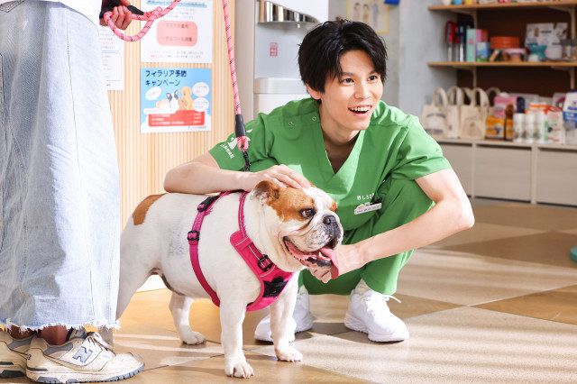 「ドラマ 初恋dogs 萩原利久 直筆サイン色紙」清原果耶 成田凌 グッズ 国宝 ドラマ 初恋dogs 萩原利久 直筆サイン色紙」清原果耶 成田凌