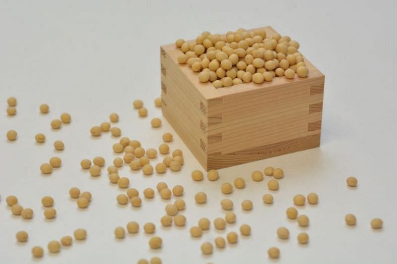 大豆の新品種「そらたかく」開発 農研機構、多収量で豆腐加工向き