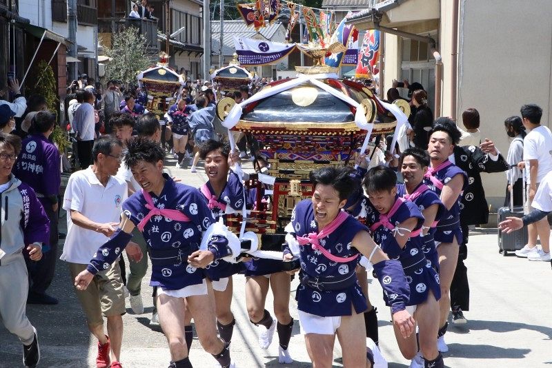 男衆が担ぐ3基の神輿 勇壮に 笠岡・真鍋島 伝統の「走り神輿」：山陽