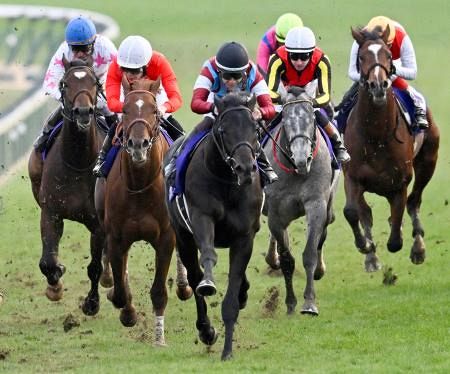 競馬、ロブチェンが重賞初制覇 G1のホープフルS、7番人気：山陽