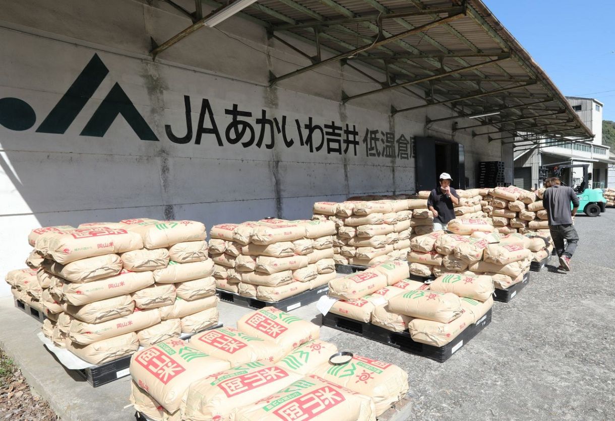 【岐路に立つコメ】第３部悩めるＪＡ㊤集荷競争　競合卸に買い負け常態化