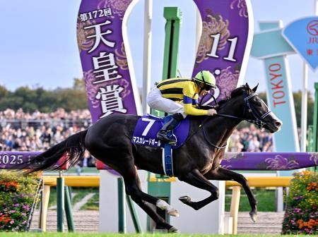 マスカレードボールが優勝 競馬の天皇賞・秋：山陽新聞デジタル｜さんデジ