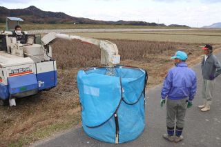 白大豆の新品種、岡山で栽培開始　高収量と強い病害耐性に期待