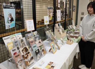 地域猫テーマの作品展示・販売会　岡山市在住の写真家ら企画 クレド岡山