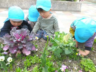 【ＨＵＧだより】虫が大好き　旭東保育園（岡山市中区網浜）