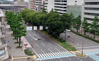 街路樹９・８万本再整備計画策定へ　福山市　老木、大木化の影響懸念